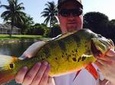 Peacock Bass Fishing Trips near Palm Beach Florida