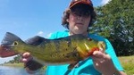 Peacock Bass Fishing Trips Near Key Largo