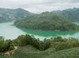 5-Hour Thousand Island Lake and Pinglin Tea Plantation Scenery Tour