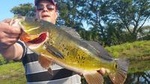 All Day Peacock Bass Fishing Trip near Key Largo