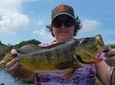 8 Hour Peacock Bass Fishing Trip Near Palm Beach