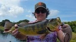 8 Hour Peacock Bass Fishing Trip Near Palm Beach