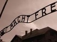 Auschwitz 1 Day Tour from Warsaw
