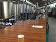 Brisbane Brewery Tour Including Newstead Brewing Co, Green Beacon, Aether and All Inn