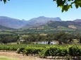 Cape of Good Hope and Cape Winelands Day Tour from Cape Town