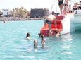 Fuerteventura Catamaran Half-Day Cruise from Caleta de Fuste