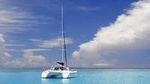 Full-Day Northern Catamaran Cruise: Coin de Mire and Ile Plate Island