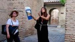 Jerez City Private Walking Tour