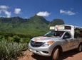 Moorea 4WD Tour Including Belvedere Pineapple Farm and Magic Mountain