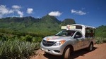Moorea 4WD Tour Including Belvedere Pineapple Farm and Magic Mountain