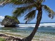 Private Half-Day Barbados Excursion