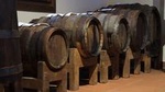 1.5-hour Traditional Italian Balsamic Vinegar Tasting Tour in Modena