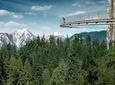 Private Tour: Vancouver Sightseeing and Capilano Suspension Bridge