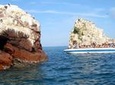 Ballestas Islands, Paracas Reserve and Skulls Museum Private Tour from Lima