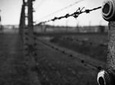 Auschwitz and Birkenau Round-Trip Transfer Premium from Krakow