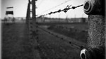 Auschwitz and Birkenau Round-Trip Transfer Premium from Krakow