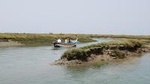 2-hour Bird Watching Guided Boat Trip in Ria Formosa from Faro Algarve
