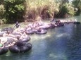 Dunn's River Falls and White River Tubing Combo Tour