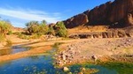 Private Full-Day Tour of Ouarzazate and Oasis Fint