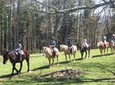 Guided Horseback Ride through Flame Azalea and Fern Forest
