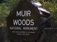 Muir Woods, Sausalito and Tiburon Day Trip from San Francisco