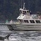 Orcas Island Whale Watching