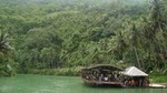 Private Bohol and Chocolate Hills with Loboc River Cruise