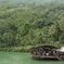 Private Bohol and Chocolate Hills with Loboc River Cruise