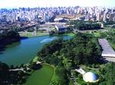 São Paulo City Walking Tour