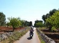Valle D'Itria Vespa Tour