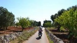 Valle D'Itria Vespa Tour