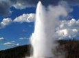 Yellowstone National Park Full-Day Tour from Jackson Hole