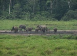 Explore Ivindo National Park, Gabon (UNESCO Site)