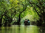 Explore Ratargul Swamp Forest, Bangladesh