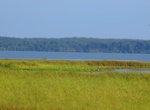 Explore Elizabeth Hartwell Mason Neck National Wildlife Refuge, Virginia