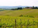 Wine Tasting in Brunello di Montalcino, Italy