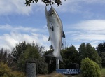 See The Big Salmon in Rakaia, New Zealand