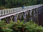 Cross Percy Burn Viaduct, New Zealand