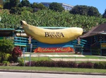 See The Big Banana in Coffs Harbour, Australia