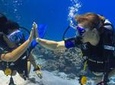 2 dives from a comfy boat for Certified Divers