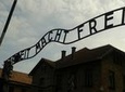 Auschwitz-Birkenau Self-Guided Visit from Krakow with Private Transfers