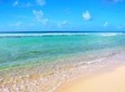 Barbados Coastal Tour with Buffet Lunch