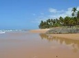 Full-Day Beach Hopping Tour from Salvador da Bahia, Brazil