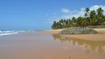 Full-Day Beach Hopping Tour from Salvador da Bahia, Brazil