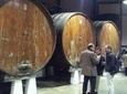 Traditional Basque Cider House Lunch from San Sebastian