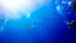Full-Day Scuba Diving Catalina Island Tour from Bavaro