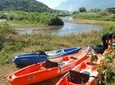 Full-Day River Kayaking Trip in Northern Thailand Jungle from Chiang Mai