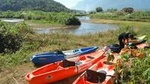 Full-Day River Kayaking Trip in Northern Thailand Jungle from Chiang Mai