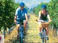 Hawkes Bay Wineries Self-Guided Bike Tour