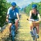 Hawkes Bay Wineries Self-Guided Bike Tour